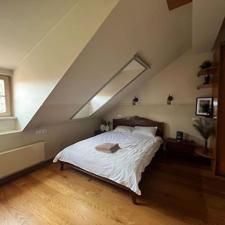 Old Town Apartment With Free Parking Вильнюс Экстерьер фото
