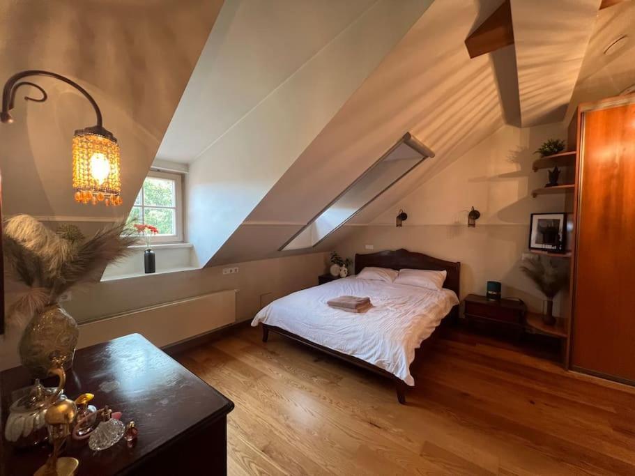 Old Town Apartment With Free Parking Вильнюс Экстерьер фото