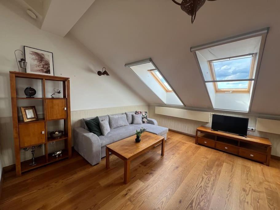 Old Town Apartment With Free Parking Вильнюс Экстерьер фото